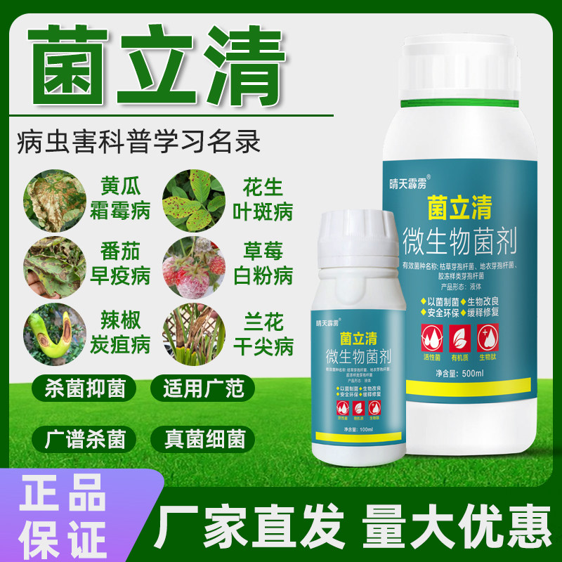 菌立清杀剂真细药灰霉病霜