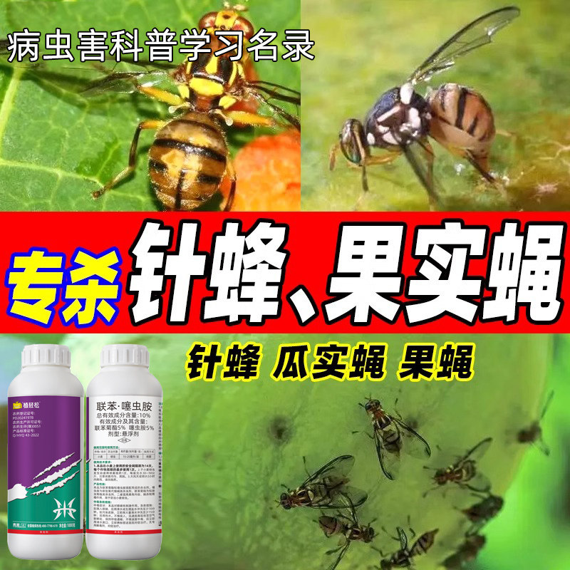 联苯噻虫胺果树潜蝇针蜂灭蝇药