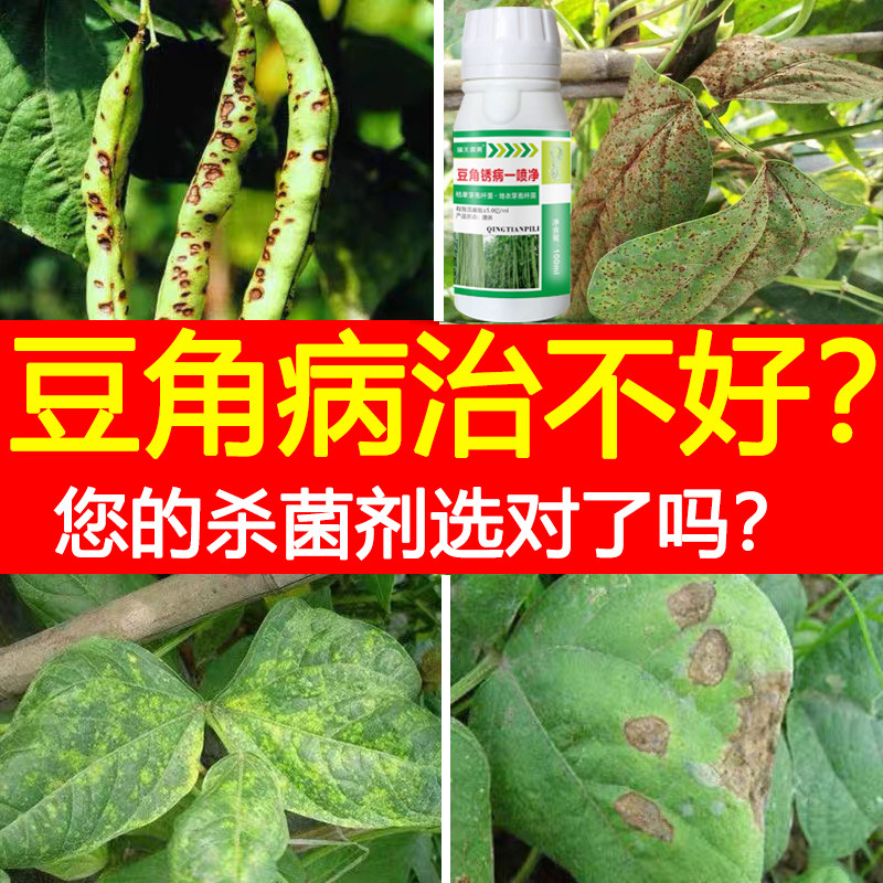 豆角专用药杀菌剂锈病炭疽