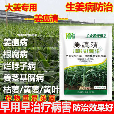 姜瘟病专用药根腐青枯生杀