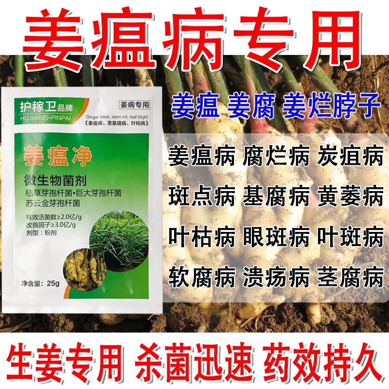 姜瘟病专用药大生根腐灵枯