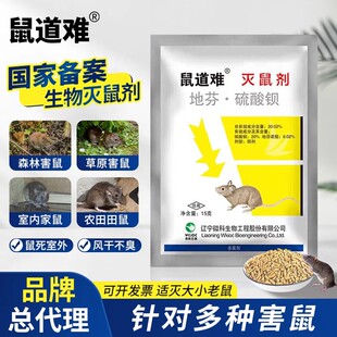 办公室鼠道难高效老鼠药灭老鼠家用一窝锅端耗子杀鼠剂灭鼠神器