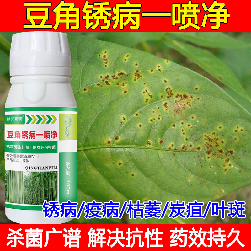 豆角专用农药杀菌剂防治锈