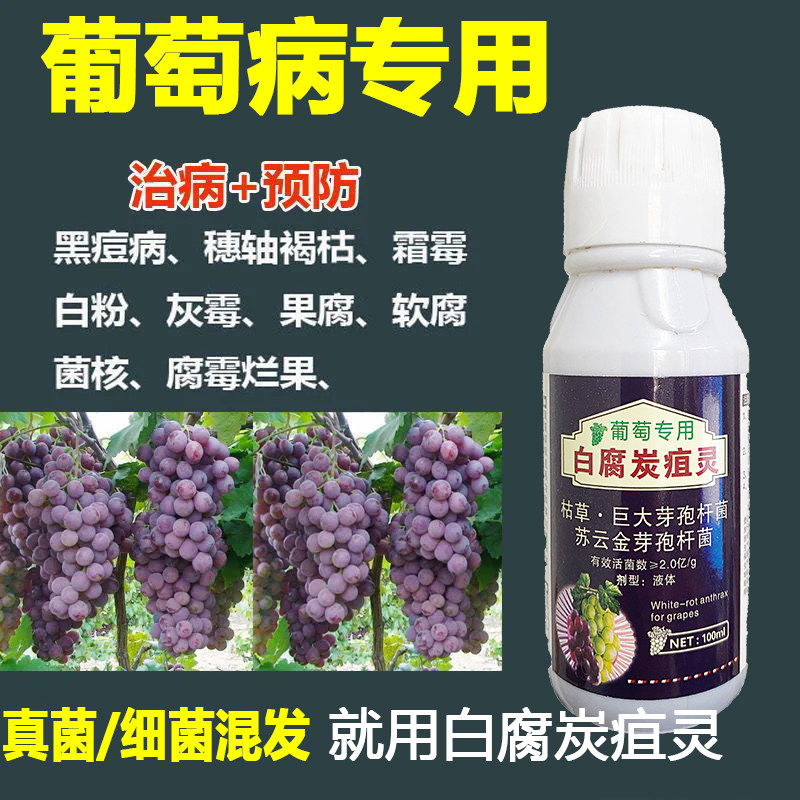 葡萄病专用药白腐炭疽霜霉