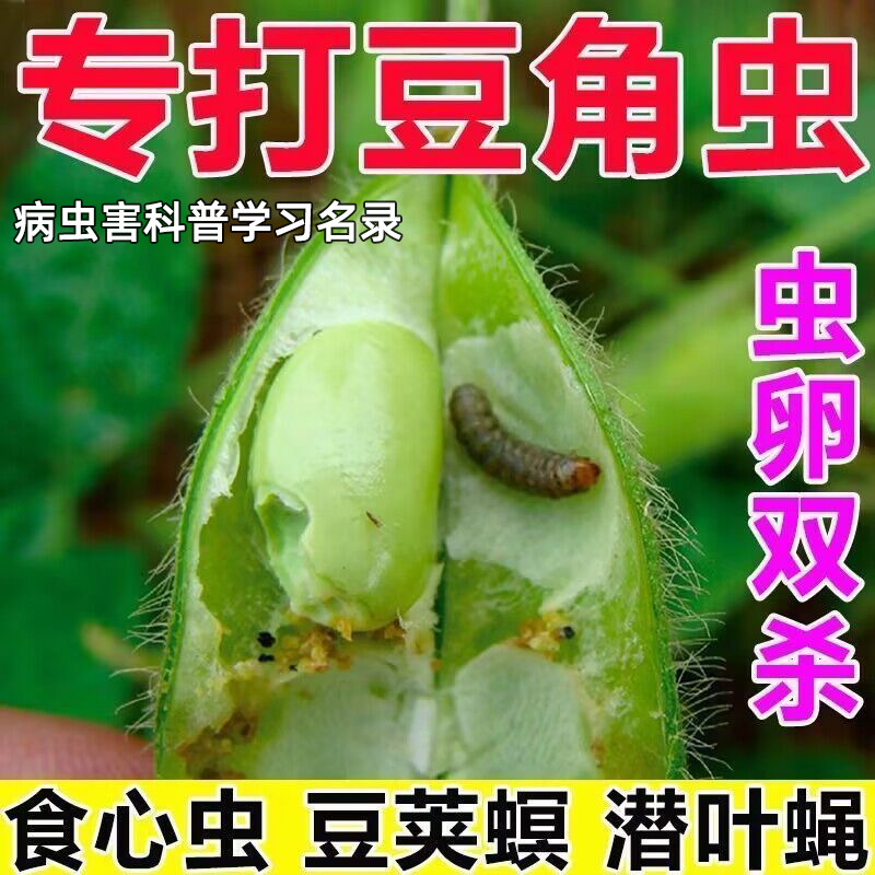 豆角专用杀虫剂虫卵双杀蚜虫果树