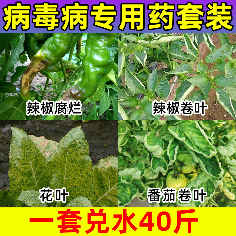 病毒专用药辣椒花叶卷农番