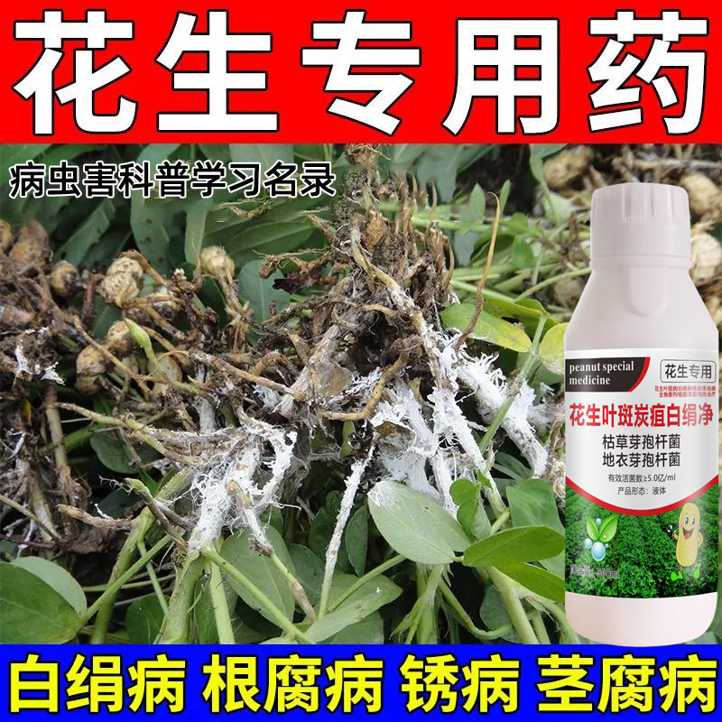 花生叶斑炭疽白绢净治疗根
