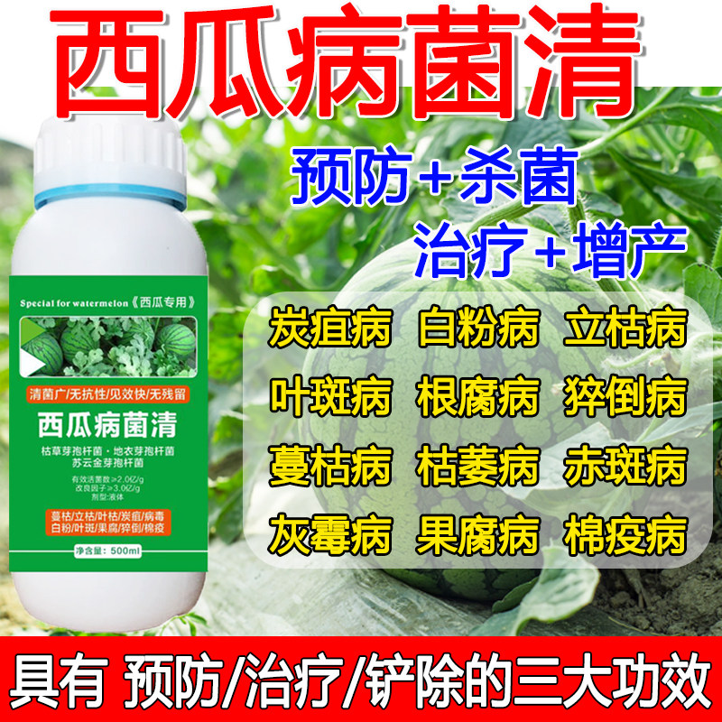 西瓜专用药炭疽病白粉叶斑