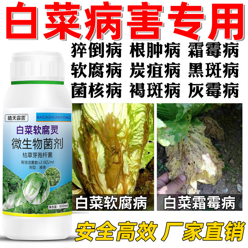 白菜病害药专用防烂腐大根