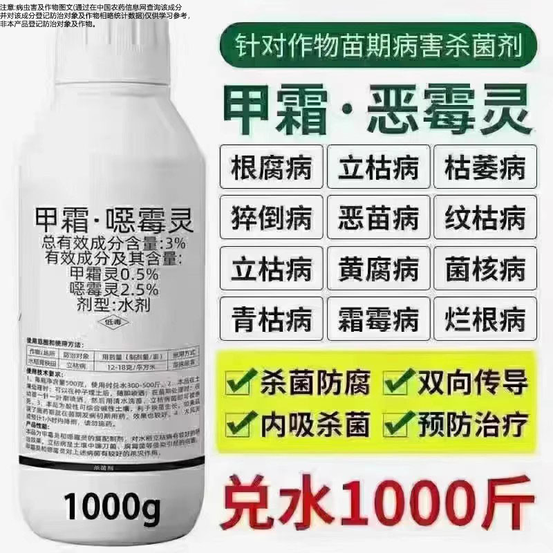 甲霜恶霉灵黄瓜枯萎立病果