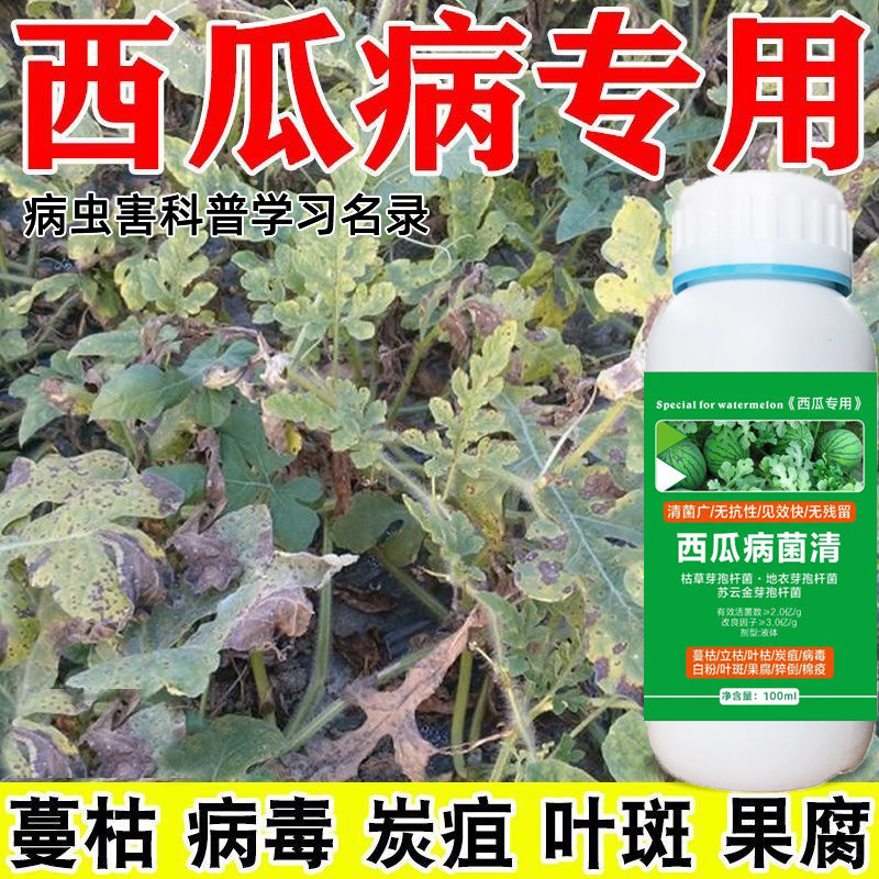 西瓜病菌清专用药炭疽病叶斑病