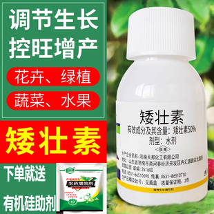 矮壮素花卉壮矮素多肉专用矮胖素植物矮壮剂矮化剂花木百合控旺长