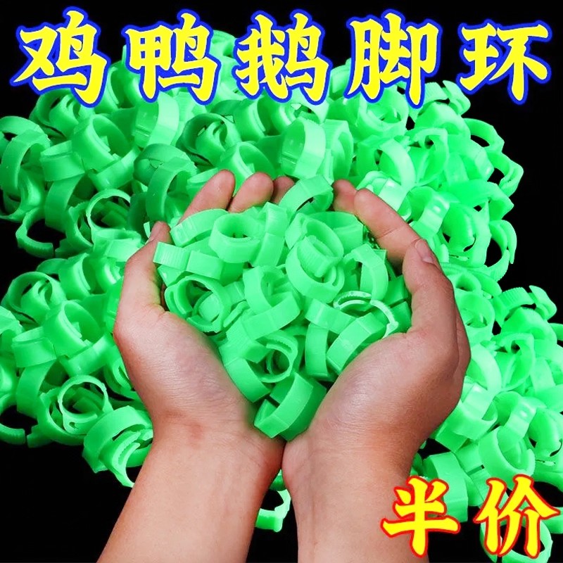 鸡脚脚环记号卡扣鸟用可调节卡子