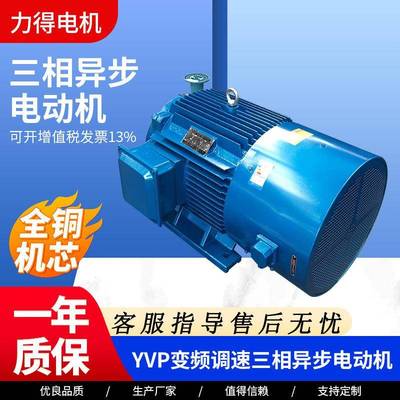 Yvp变频调速三相异步电动机全铜机芯高效率异步电动机调速马达