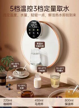 上海复旦申花管线机壁挂式家用即热直饮机厨房餐边柜饮水机2024新