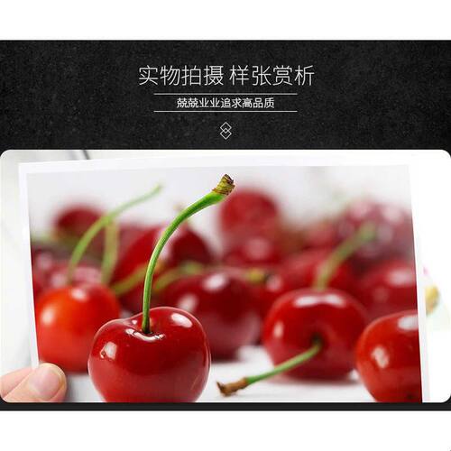 整箱批发6寸相纸A4 RC相纸5寸7寸A3相片纸4R照片纸260g高光绒面防