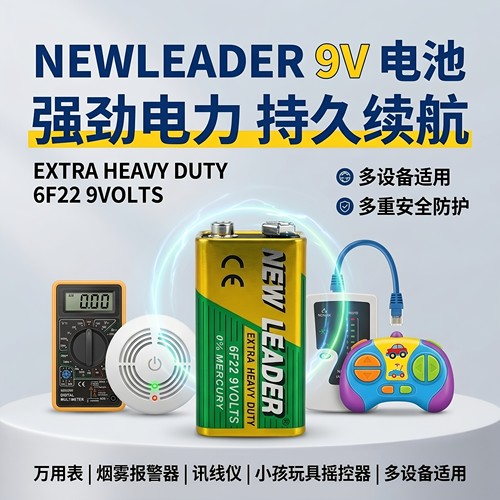 新到货一批新利达9V电池正品保证