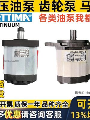 意大利S ETTIMA螺杆泵G55C063FSBACOED 注塑机G GR 110 90 80 C V