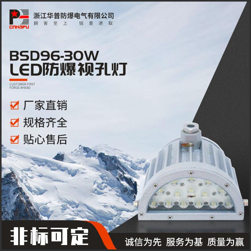 LED防爆视孔灯BSD96-30W半圆视孔灯 防爆视镜灯防爆安全照明灯