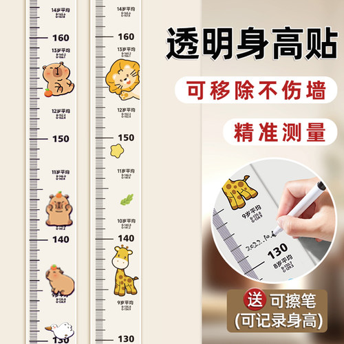 可移除不伤墙身高测量墙贴