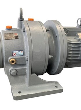 行星摆线针轮减速机带电机小型立/卧式bwd/XWD38T0V货期快BLD