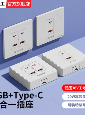国际电工220V86型二四位USBtype-c插座面板工地36V四孔口充电低压