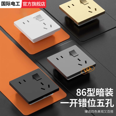 国际电工86型大功率二三八孔