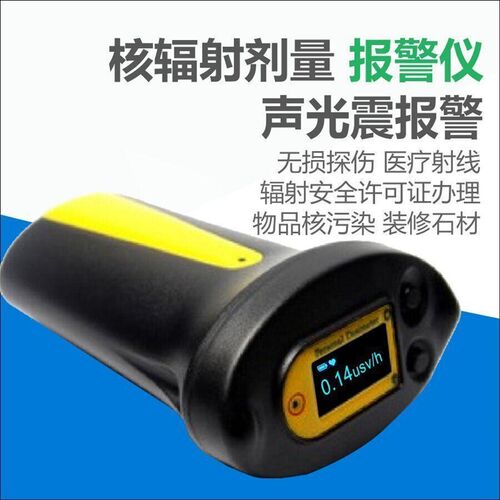 RG1100核辐射检测仪RG1100个人剂量报警仪射线电离辐射放射测量仪