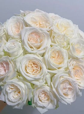 白荔枝 大花玫瑰切花荔枝香味浓香月季花苗四季开花阳台灌木