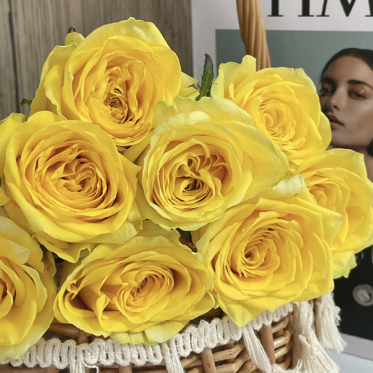 狮子座 阳台微型玫瑰花苗盆栽月季四季开花多头勤花灌木,鲜花速递/花卉仿真/绿植园艺,月季/蔷薇/玫瑰,淘宝优惠券,粉丝福利购,淘宝优惠卷