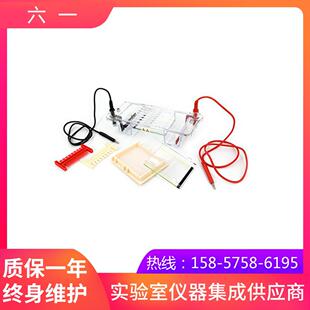 北京六一DYCP-31CN型琼脂糖水平电泳仪(小号)