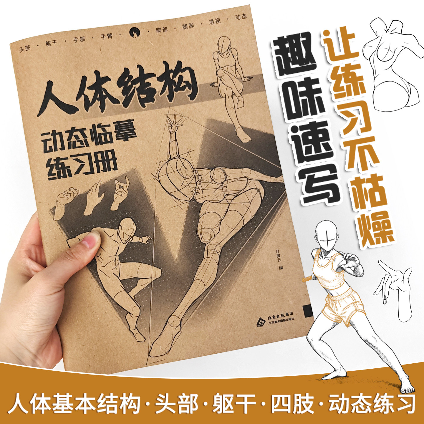 人体结构动态临摹练习册