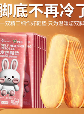 御寒加热鞋垫冷库专用暖脚宝行走