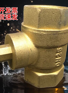 可开发票现货速发黄铜暖气阀门自来水地暖管道梅花八角磁性锁闭阀