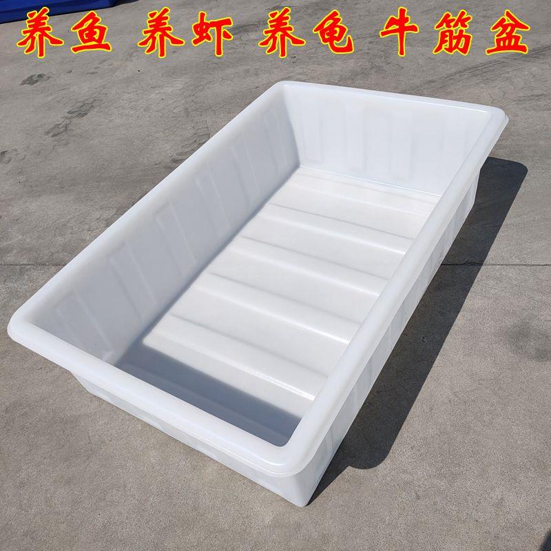 加厚牛筋水箱塑料水箱长方形水产养殖箱卖鱼养鱼水箱牛筋盆储水桶