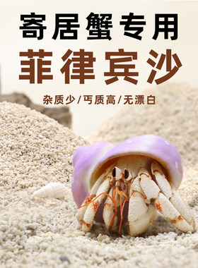 寄居蟹专用沙～天然垫材白