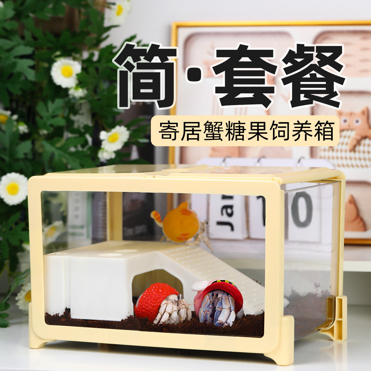 寄居蟹新手套餐饲养箱盒～饲养用品 相守蟹套装桌面宠物儿童礼物,宠物/宠物食品及用品,爬宠躲避/造景,淘宝优惠券,粉丝福利购,淘宝优惠卷