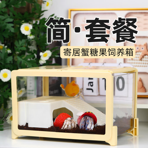 寄居蟹新手套餐饲养箱盒～饲养用品 相守蟹套装桌面宠物儿童礼物