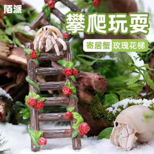 寄居蟹森系攀爬梯子～多风格玫瑰树脂爬梯百搭造景水盆蜕皮桶搭档