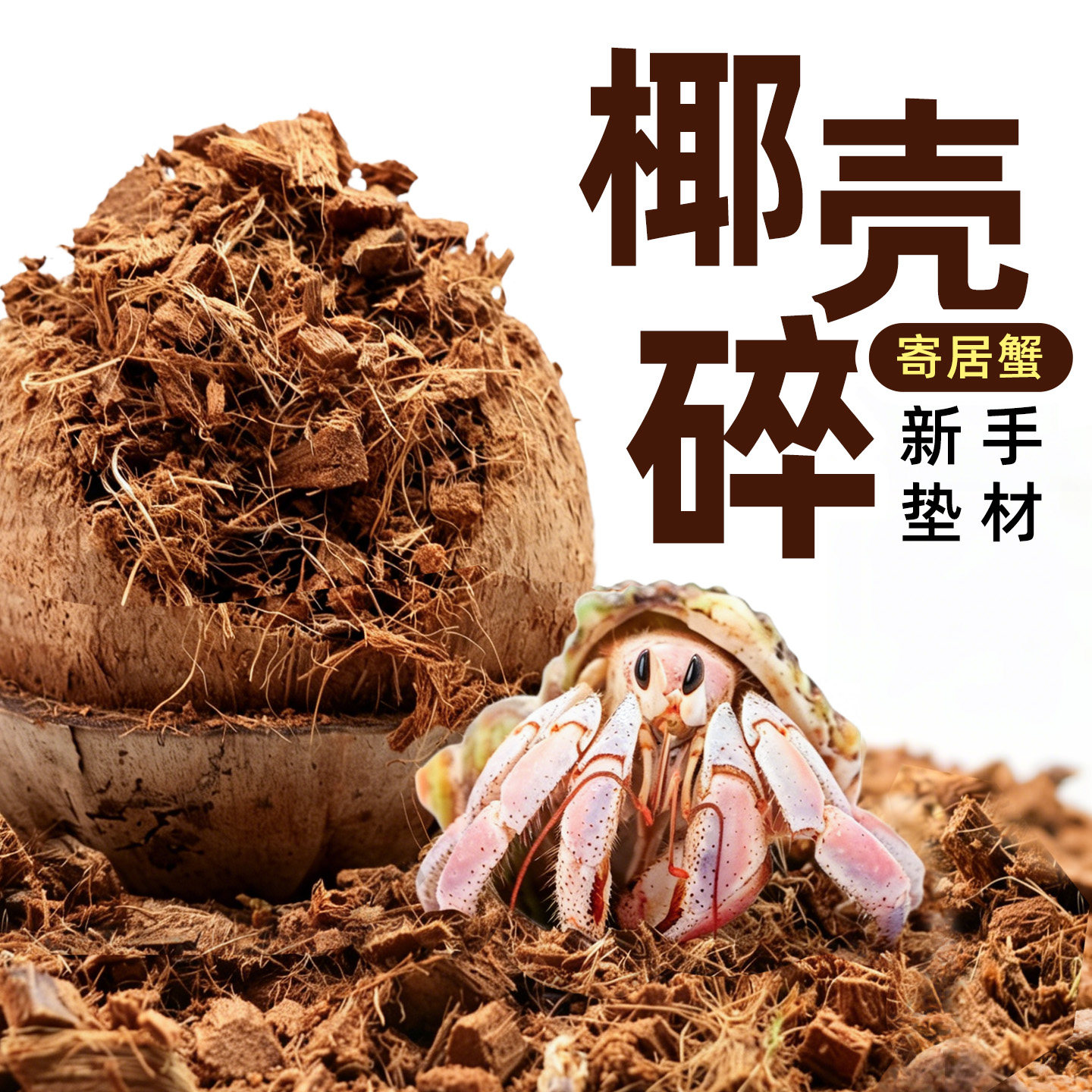 寄居蟹新手垫材料～椰砖糠图片