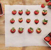 Rite Wax Paper 新品 Square Cut Feet Reynoflds