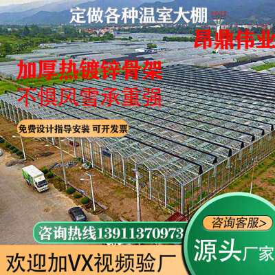 新品温室大棚钢管骨架蔬菜养殖种植全F套农业连体连栋大棚支架配