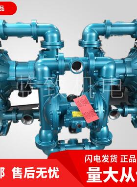 美国Skylink斯凯力3寸金属泵 SK80/3AAA/NEPN/0B0气动隔膜泵