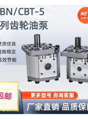厂家直销供应齿轮泵CBT-F532,550,563,580 液压 油泵