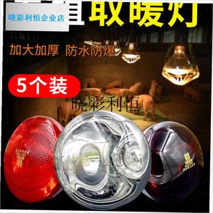 保温灯灯泡小猪用育雏养殖场x专用猪舍加热猪圈取暖灯猪场保暖烤l