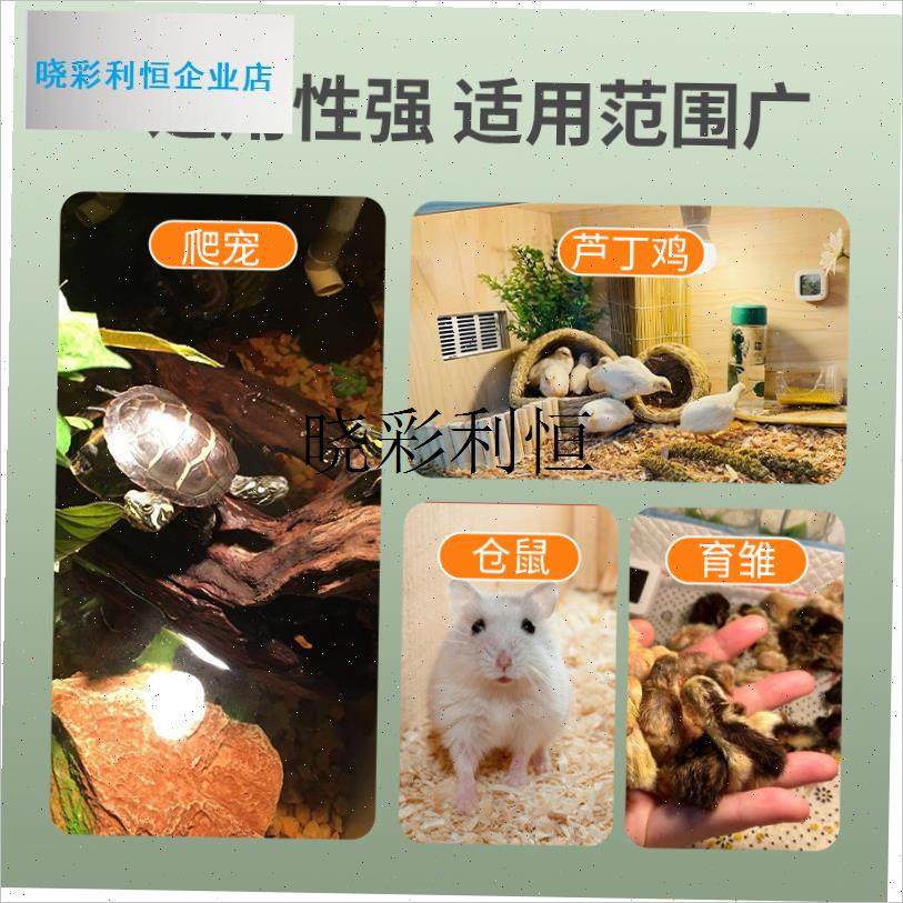芦丁鸡保温灯小鸡育雏取暖灯宠物爬宠乌龟M晒背可调节温控太阳能l,畜牧/养殖物资,畜牧/养殖器械,淘宝优惠券,粉丝福利购,淘宝优惠卷