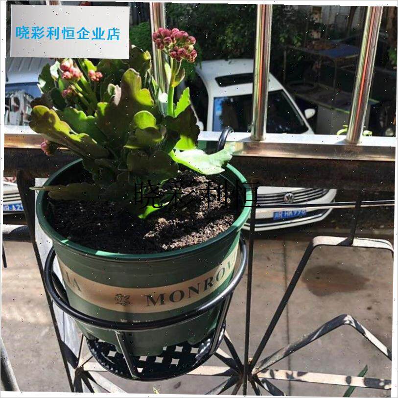 挂篮花盆阳台铁艺半壁挂t植物绿萝盆吊兰悬挂多肉加厚耐用创意个l