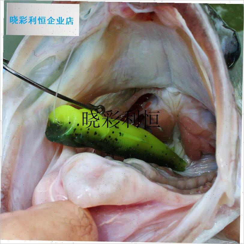 美国进口Z PkOP SHADZ水面系软饵仿生饵水面假饵波爬波扒Poppl
