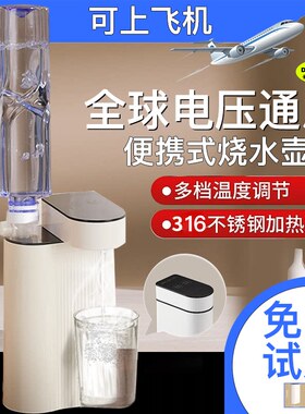德国纯进口烧水壶便携式
