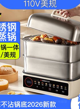 110v不锈钢电蒸锅家用多